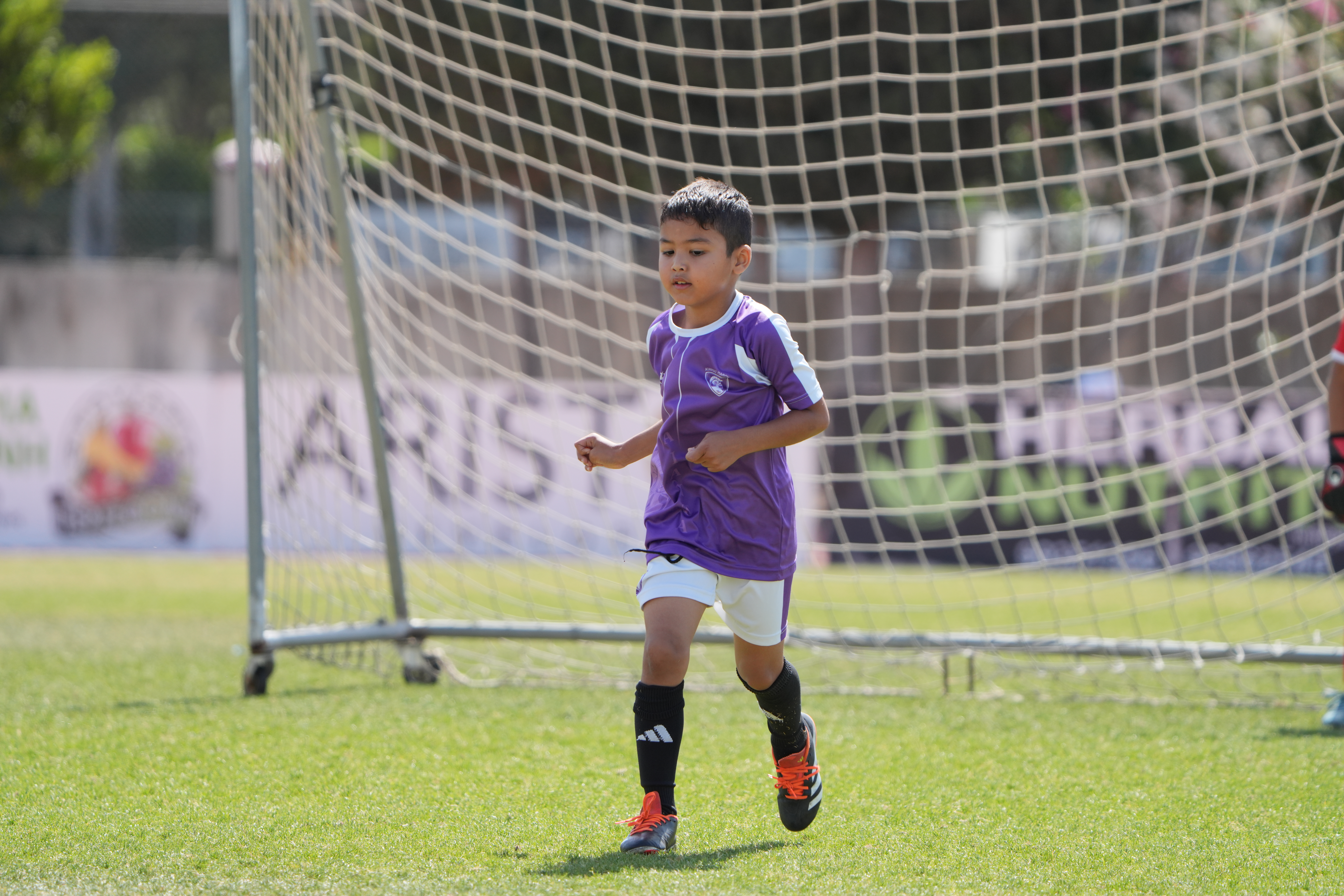 Academy life photo 6